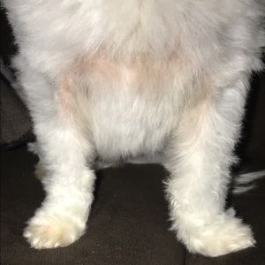 Meet your Posher, Devin